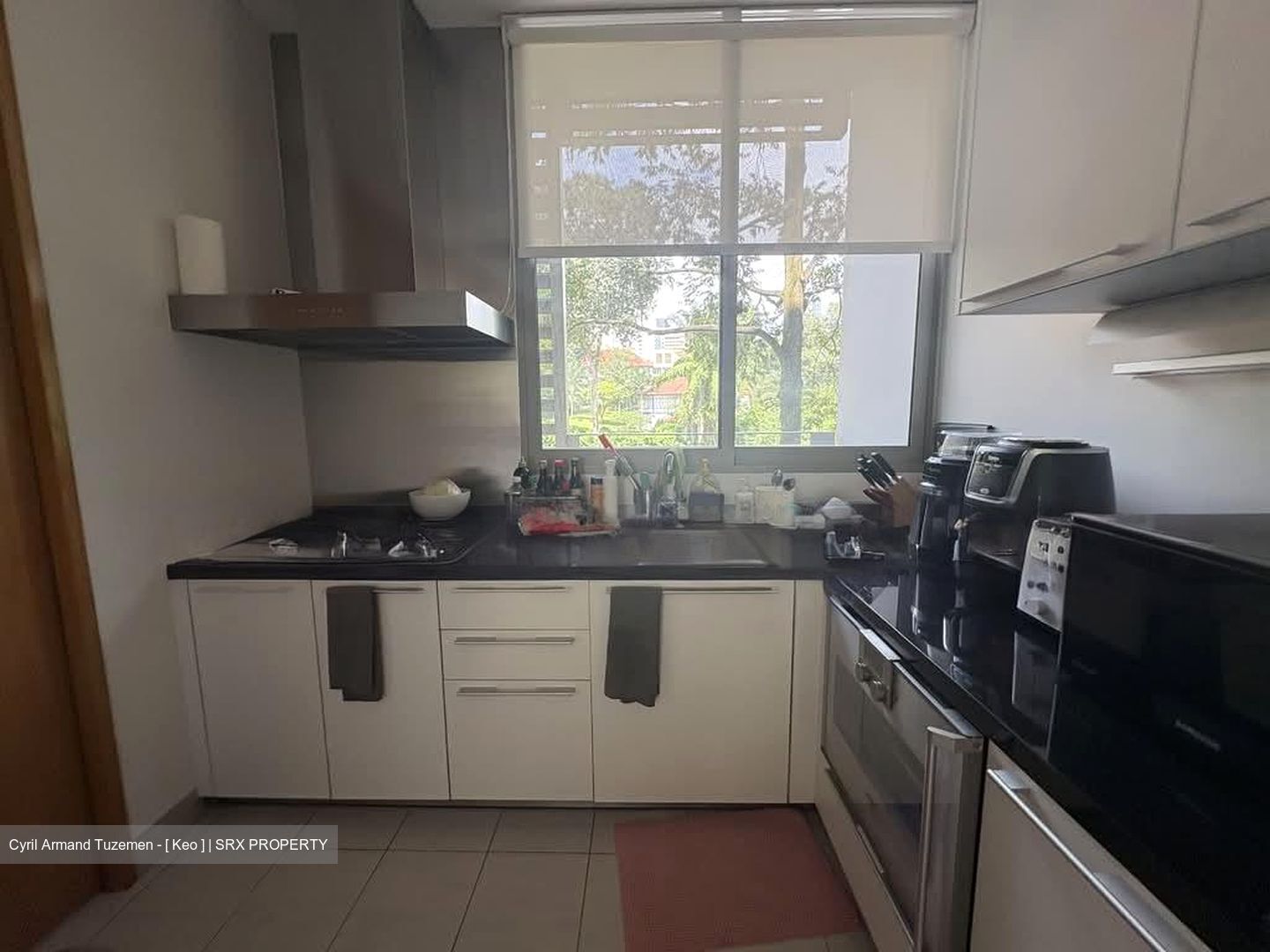 Beaufort On Nassim (D10), Condominium #566452291